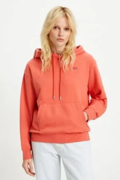 Levis Sweat LEVI'S® STANDARD HOODIE Burnt Sienna