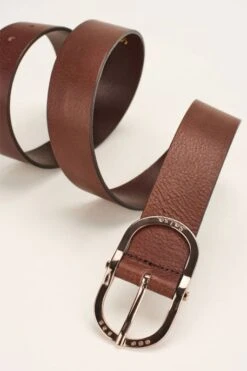 Ceinture SALSA SWAROVSKI Marron